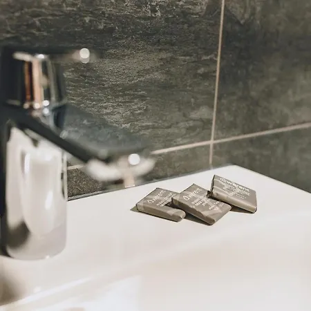 Lejlighed Alpine Living By We Rent Zell am See