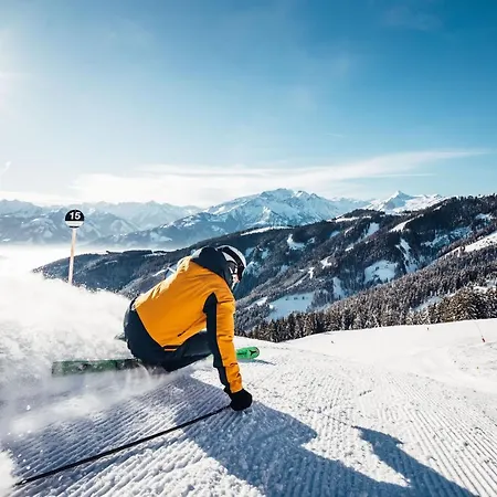 Alpine Living By We Rent, Summercard Included Appartement Zell am See