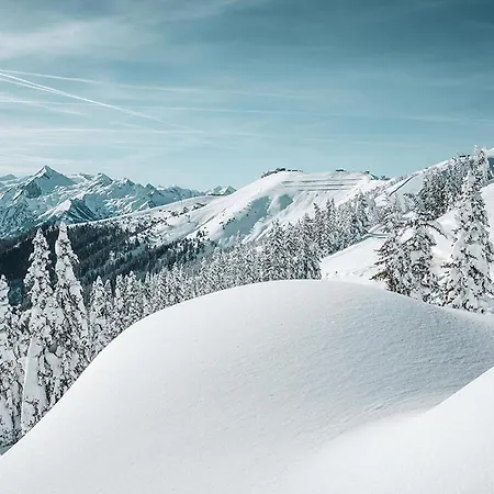 Alpine Living By We Rent, Summercard Included Appartement *
