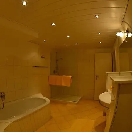 Alpine Living By We Rent, Summercard Included * ツェル アム ゼー