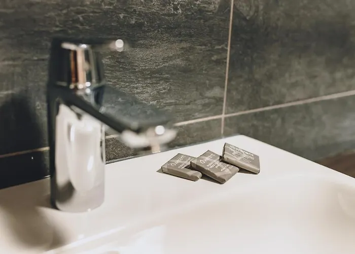 Appartement Alpine Living By We Rent, Summercard Included Zell am See