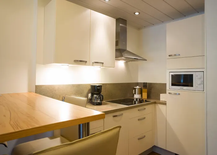 Appartement Alpine Living By We Rent, Summercard Included Zell am See